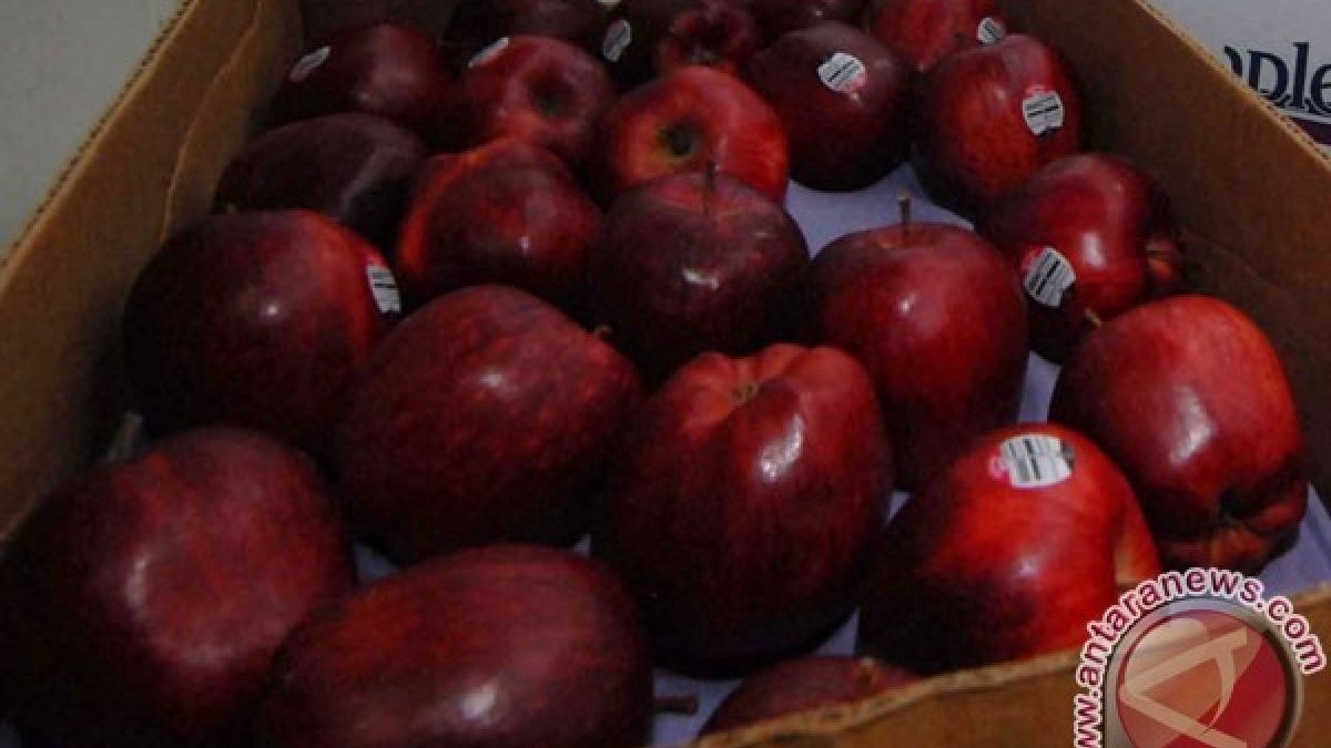 Susah BAB? Ini 6 makanan yang bisa membantu melancarkannya