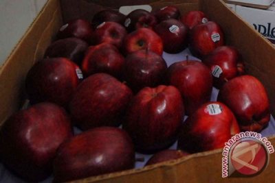 Susah BAB? Ini 6 makanan yang bisa membantu melancarkannya