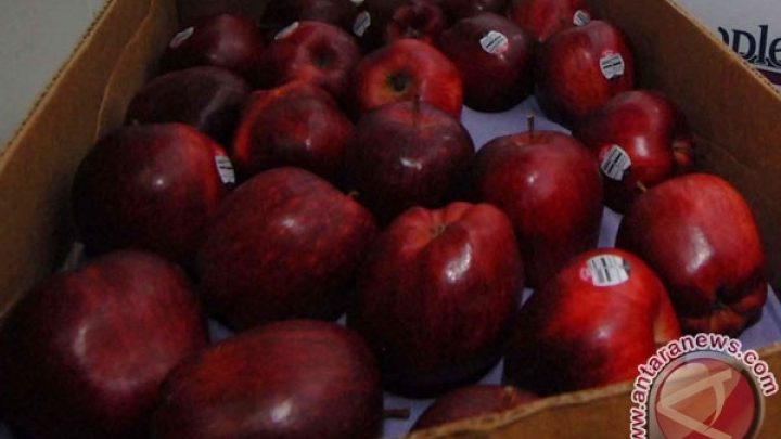 Susah BAB? Ini 6 makanan yang bisa membantu melancarkannya