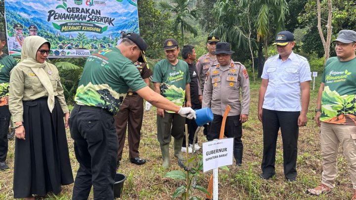 KKI Warsi-Dishut Sumbar percepat rehabilitasi hutan lewat tanam pohon