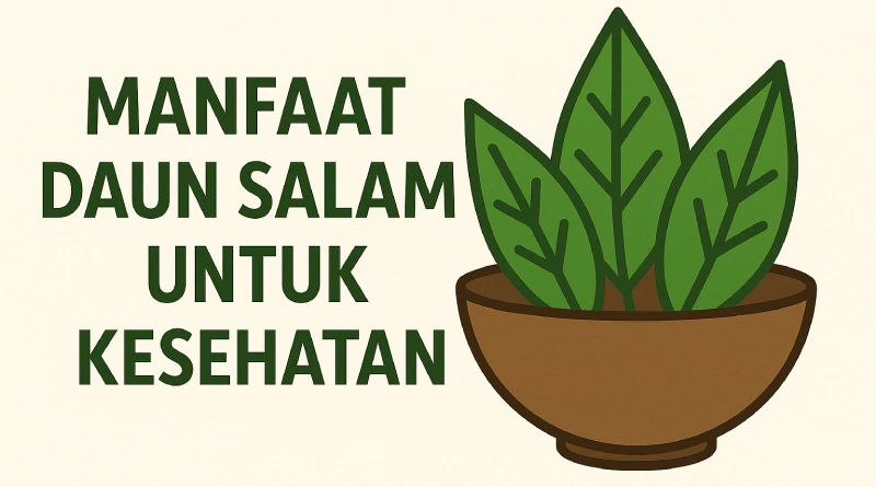 6 Manfaat Daun Salam untuk Kesehatan: Khasiat dan Tips Alami