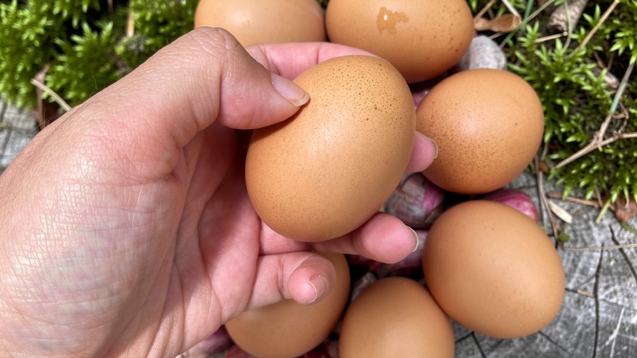Telur retak masih aman dimakan? Ini penjelasan ahli