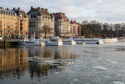 Ribuan orang berdemo di Stockholm terkait perubahan iklim