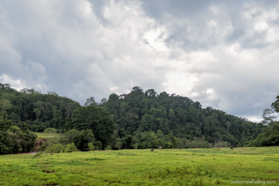 Agam usulkan 1.000 hektare lahan terlantar diaktifkan kembali ke pusat