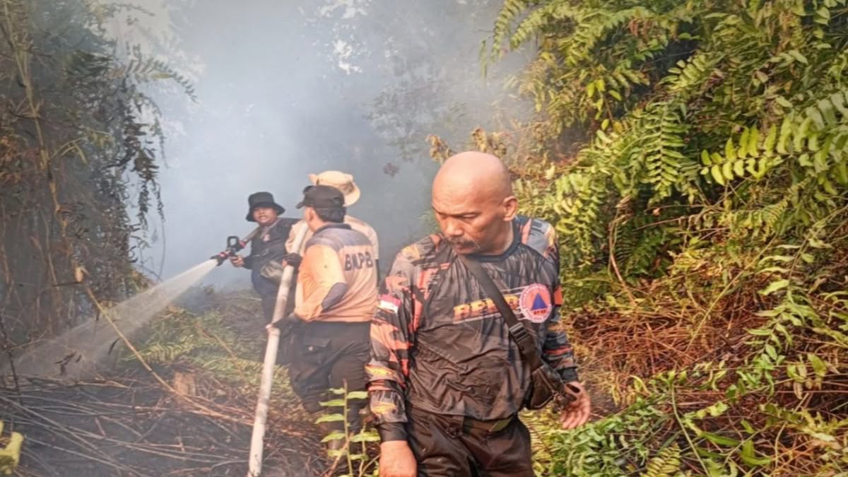 BPBD catat Riau sudah nol kebakaran hutan dan lahan