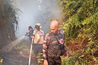 BPBD catat Riau sudah nol kebakaran hutan dan lahan