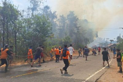 Karhutla hanguskan puluhan hektare lahan dan dua rumah warga di Poso